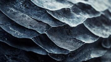 A close up of a rock with a lot of different shapes photo