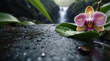 A close-up of a vibrant orchid near a waterfall, with droplets on leaves and stones. photo