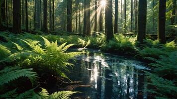 A serene forest scene with sunlight filtering through trees and a reflective stream. photo