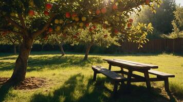 A serene apple orchard with a picnic table under sunlight. photo