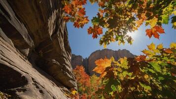 A scenic view of colorful autumn leaves against a rocky landscape and bright blue sky. photo