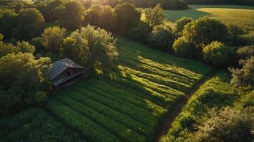 Aerial view of a serene countryside with a rustic building and lush green fields. photo