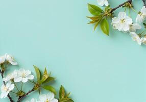 Spring Blossom Frame on Pastel Green Background Copy Space for Text photo