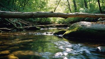 A serene forest scene featuring a stream, rocks, and a fallen tree. photo