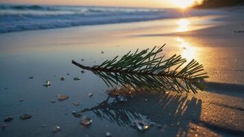 A pine branch rests on wet sand as the sun sets over the ocean, creating a serene atmosphere. photo