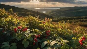 A scenic view of a valley with lush greenery and red berries under a dramatic sky. photo