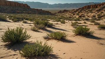 A desert landscape featuring sparse vegetation and distant mountains under a clear sky. photo