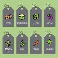 Set of tag or label templates with drawn vegetables. vector