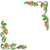 Strawberry Bush Frame and Border vector