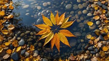A serene arrangement of autumn leaves floating on water, surrounded by smooth pebbles. photo