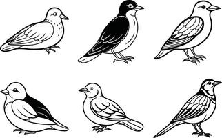 a set of six different birds, including a dove, a pigeon, a sparrow, a vector