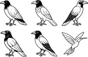 a set of four different birds, including a crow, a crow, a crow and a crow vector