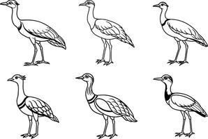 six different types of birds in different poses vector