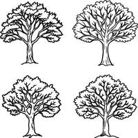 Charming Elegant Tree Line Art Compilation vector