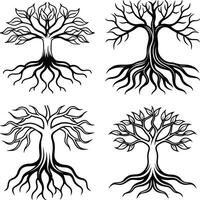 Graceful Flowing Curve Line Art Collection vector