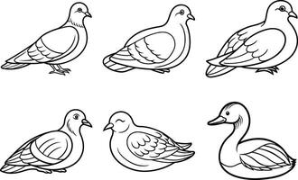 a set of four different birds, including a duck, a dove, a goose and a pigeon vector