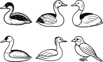 a set of four ducks in different poses vector