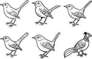 a set of six different birds in different poses vector