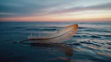 A delicate feather floats on calm ocean waves during a serene sunset. photo