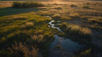 A serene landscape featuring a stream surrounded by lush grass and gentle sunlight. photo