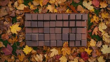 A flat arrangement of brown bricks on a bed of colorful autumn leaves. photo