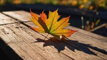 A vibrant autumn leaf resting on a wooden surface, casting a shadow in soft sunlight. photo