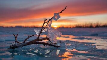 A serene sunset over icy waters with a branch and ice fragments in the foreground. photo