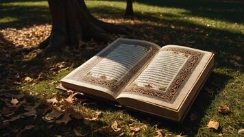 An open book rests on grass among fallen leaves, showcasing intricate calligraphy and design. photo