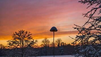 A serene winter sunset with silhouetted trees and a lamp post against a colorful sky. photo