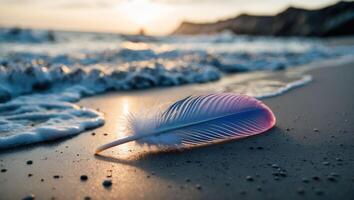 Feather Resting on Sandy Beach with Waves at Calming Sunset photo