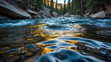 River Flowing Through Forest Reflecting Sunlight with Boulders and Trees photo