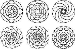 Collection of Artistic Flowing Curve Lines vector