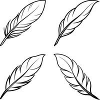 Collection of Elegant Flowing Curve Line Art vector
