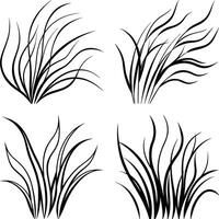 Elegant Flow Curve Line Art Compilation vector