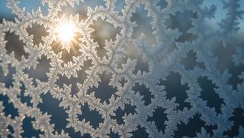 Frost Forming Intricate Ice Patterns on Glass with Sunlight Shining Through photo