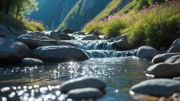 Flowing Mountain Stream Cascading Over Rocks with Wildflower Meadow Backdrop photo