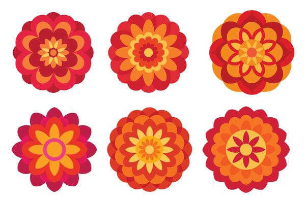 Vibrant Floral Designs for Creative Projects