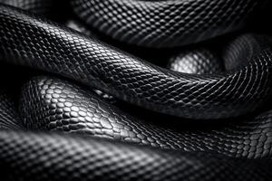 A close up of a snake skin photo