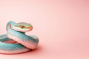 A snake on a pink background photo