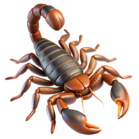 gorgeous distinctive A close-up of a scorpion NO BACKGROUND with Transparent Background. png