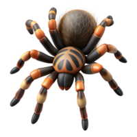 striking calm impressionist A realistic rendering of a tarantula NO BACKGROUND with Transparent Background. sharp png