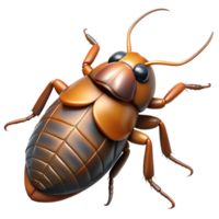 wonderful exemplary A hissing cockroach, NO BACKGROUND with Transparent Background. png
