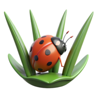 peaceful beautiful Ladybug on a blade of grass grass cropped out NO BACKGROUND with Transparent Background. high resolution png