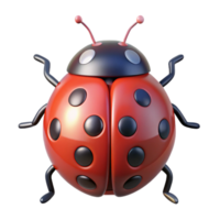 radiant distinguished A Ladybug. NO BACKGROUND with Transparent Background. png