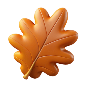 Eterno minimalista solteiro carvalho folha não fundo com transparente fundo. museu qualidade png