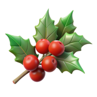 reflective pristine Branch of holly with berries NO BACKGROUND with Transparent Background. high resolution png