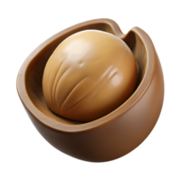 romantic stunning Macadamia nut in shell NO BACKGROUND with Transparent Background. artisan png