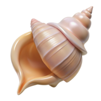 sumptuous exemplary Conch shell NO BACKGROUND with Transparent Background. png