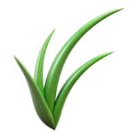 magnificent melancholic impressionist Single blade of grass NO BACKGROUND with Transparent Background. 8K png