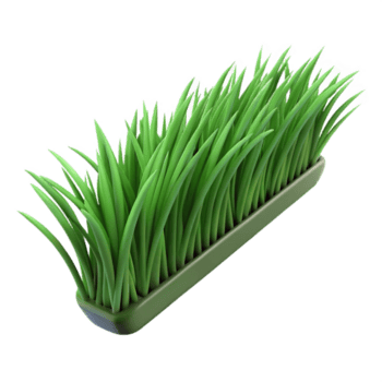 notável surreal solteiro lâmina do verde Relva não fundo com transparente fundo. sem falhas png